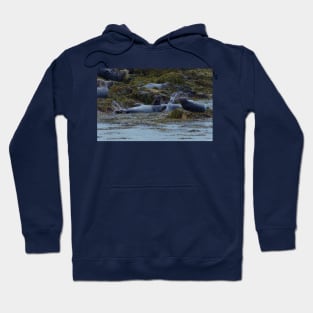 KELP KOMBAT! Hoodie